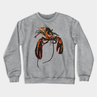 Atlantic Lobster Crewneck Sweatshirt